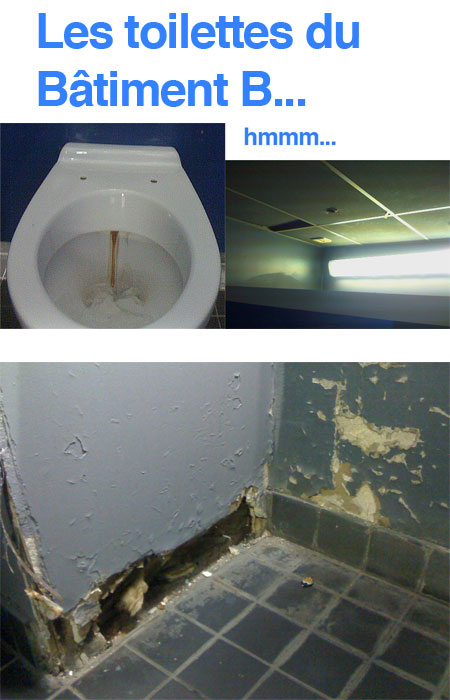 toilettes-2009